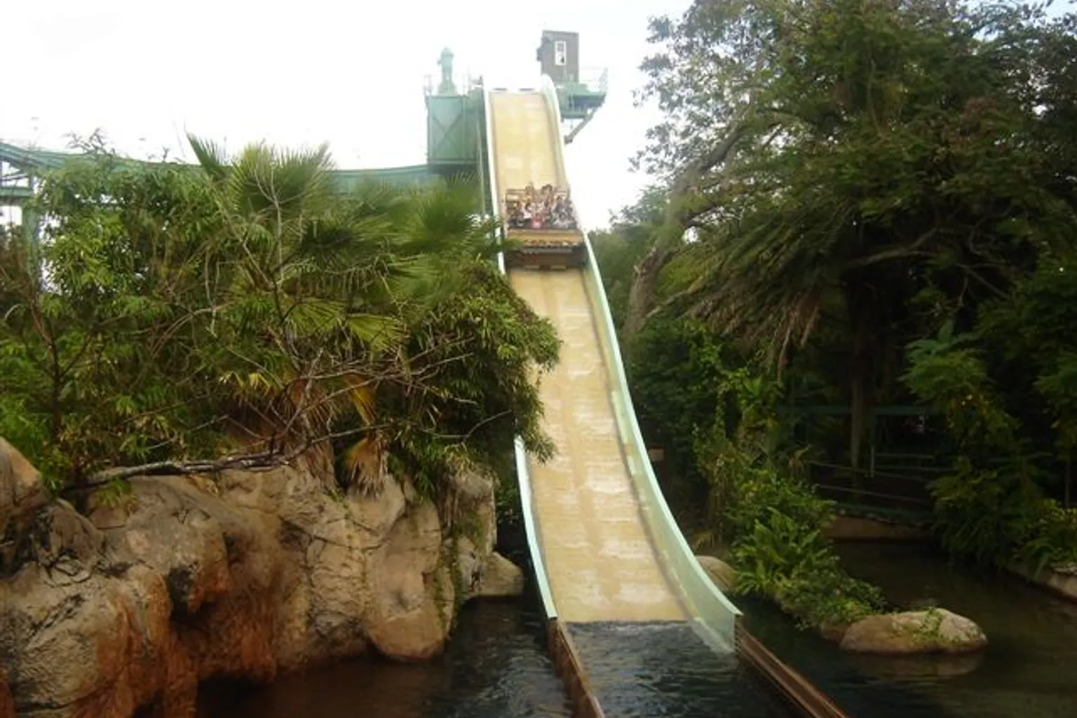 Busch Gardens Tampa Bay visite : la checklist essentielle