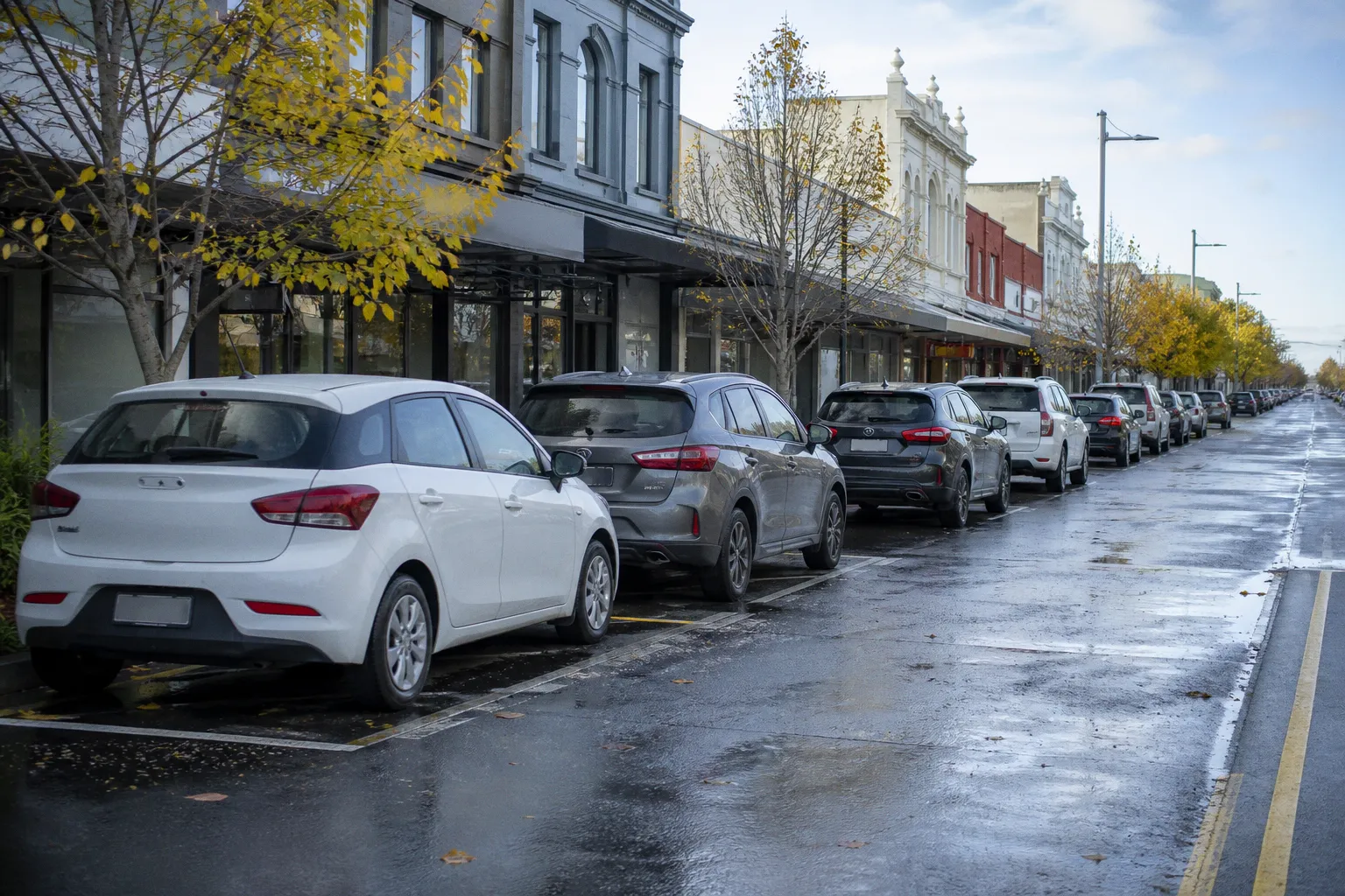 Location de voiture à Hamilton (Nouvelle-Zélande) : guide pratique
